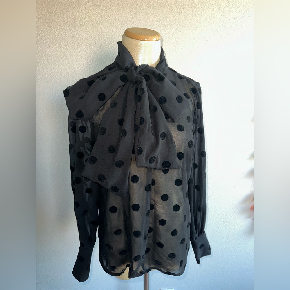 Black velvet polka dot blouse